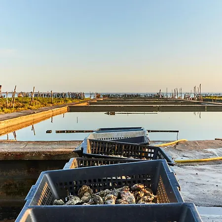 Maison Avec Jardin A 100m De La Plage, Pour 5 Personnes - Fr-1-540-262 Prázdninový dům *