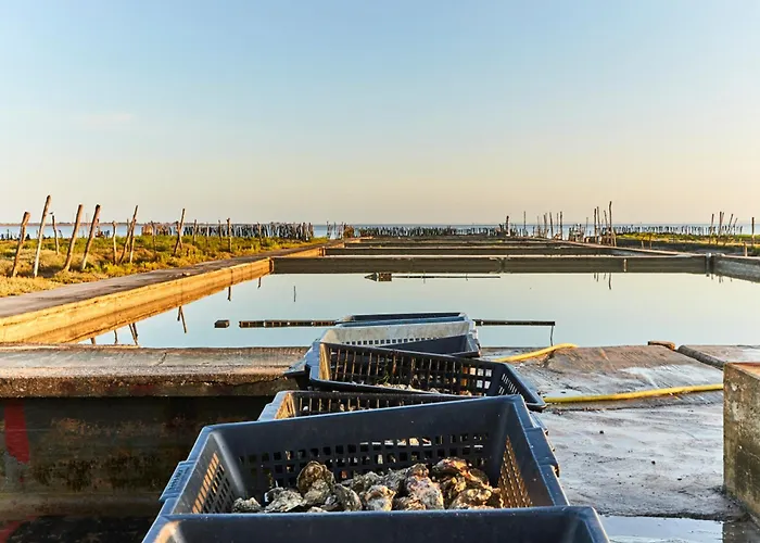 Maison Avec Jardin A 100m De La Plage, Pour 5 Personnes - Fr-1-540-262 Prázdninový dům *
