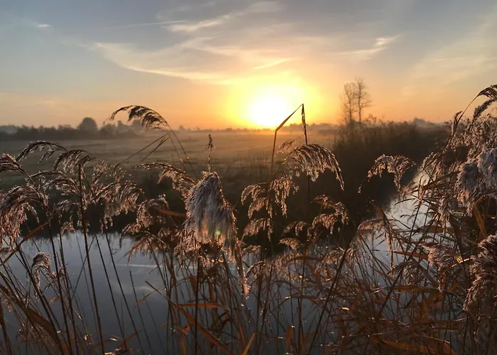 Maison Avec Jardin A 100m De La Plage, Pour 5 Personnes - Fr-1-540-262 * Notre-Dame-de-Monts